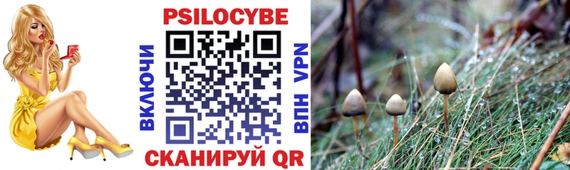 купить наркотики сайты  Шарыпово  Псилоцибиновые грибы Magic Shrooms 